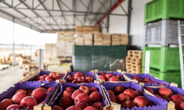 Walmart Pilots Solution That Keeps Produce Fresh During Transport