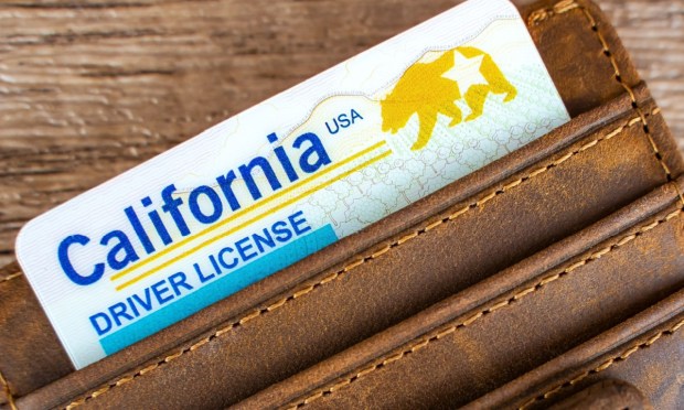 ‘Unbeatable’ Fake IDs Become Booming Underground Business