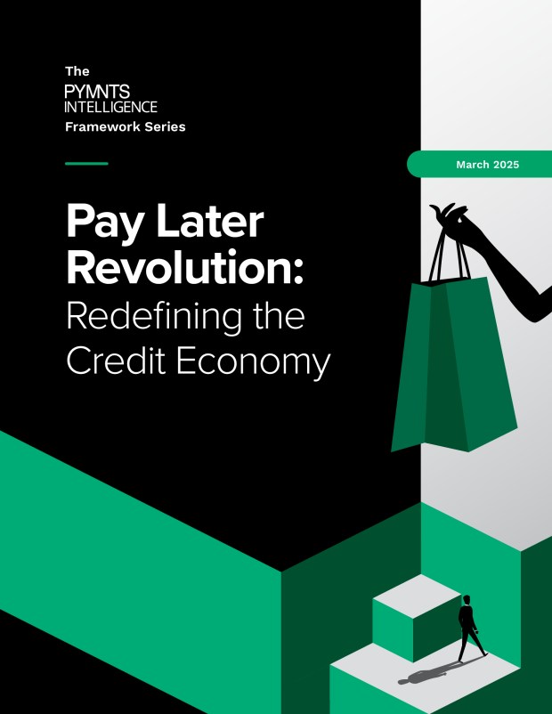 Pay Later Revolution: Redefining the Credit Economy