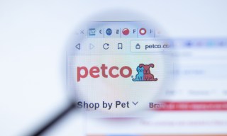 Petco Sharpens Focus on Digital Experience Amid Brand Reinvention