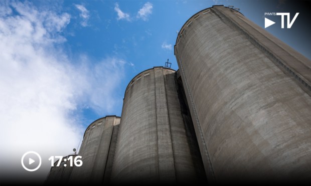 Data Silos, Meet GenAI: The Next Frontier for CFOs Seeking AP Excellence