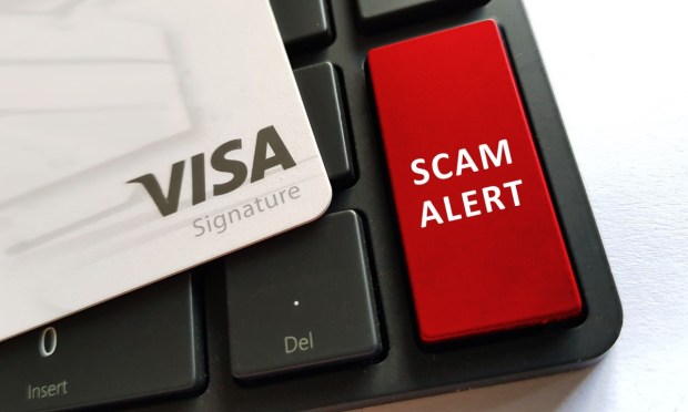 Visa Reports 3X Leap in Fraud Attempts on Black Friday