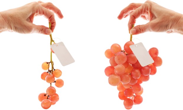 From Trading to Saving, Financial Platforms Eye Banking and Neobanks Branch Out