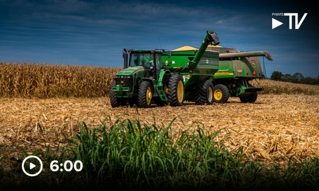 Inside the Tariff Turbulence From the Epicenter of American Agriculture