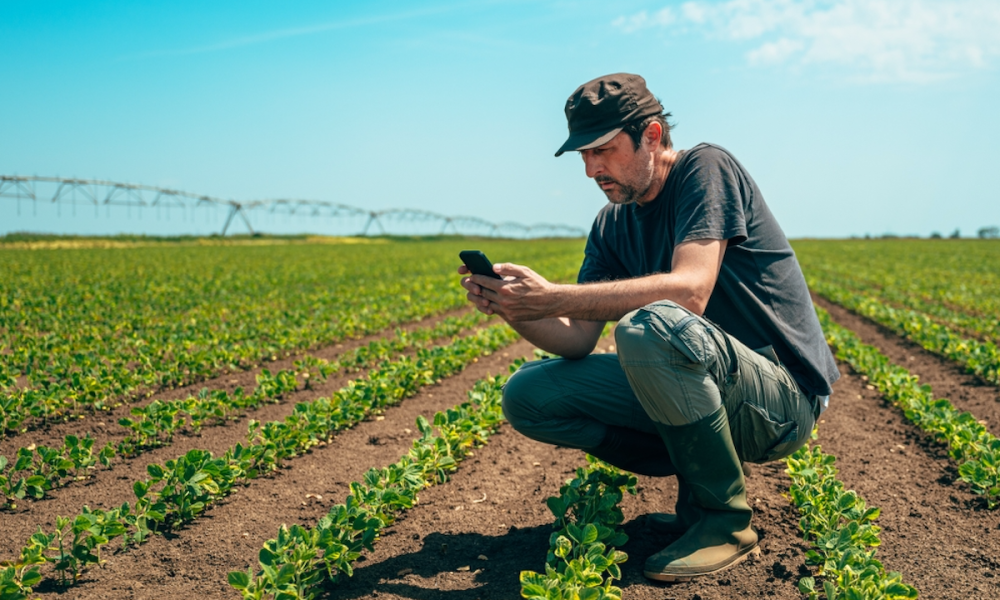 farmer in field