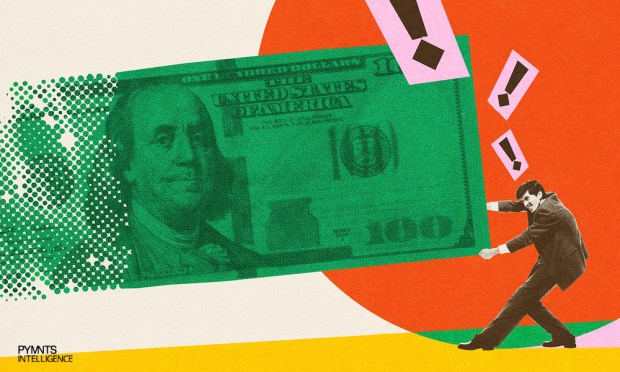 The Instant Payments Digital Divide: Why Some Small Businesses Thrive and Others Struggle