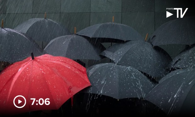 Digital Marketplaces Rewrite Insurance Rules as AI Drives Industry Shake-Up