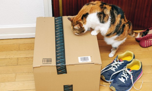 Amazon Partners With Pet Pharmacy Vetsource to Sell Pet Medications