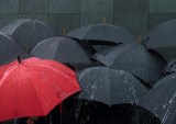 Digital Marketplaces Rewrite Insurance Rules as AI Drives Revamp