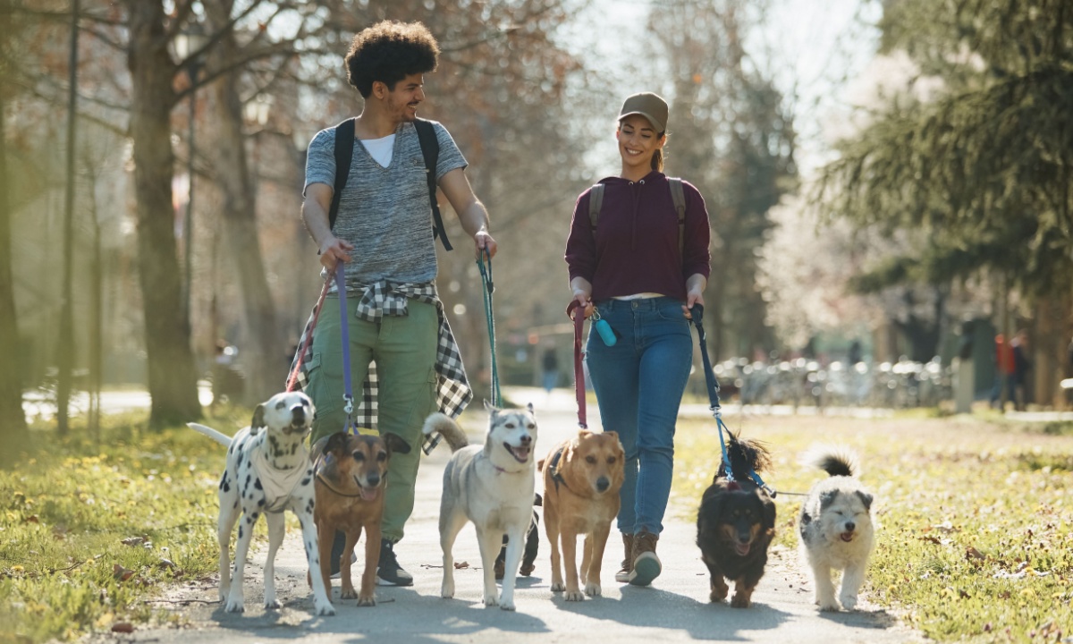 Side Hustles Are a Financial Lifeline Side Hustles Are a Financial Lifeline