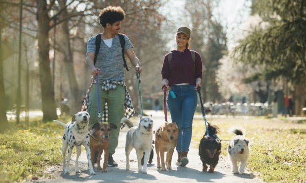 America’s Second Shift: Why Side Hustles Are Now a Financial Lifeline