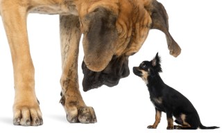 New Data Shows Smaller Players Come Up Big as Credit Unions Unleash Innovation