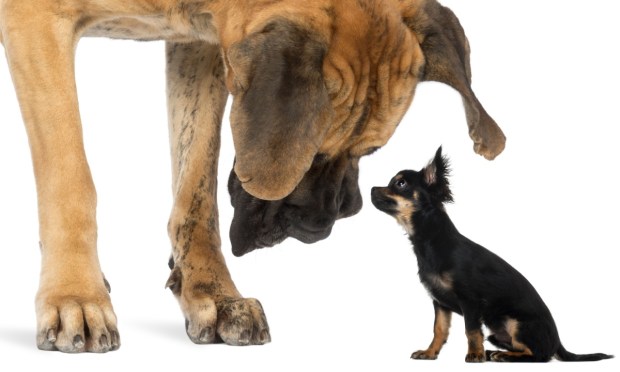 New Data Shows Smaller Players Come Up Big as Credit Unions Unleash Innovation