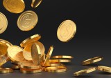 Q2 Earnings Show Focus on Cross-Border Stablecoin Opportunity