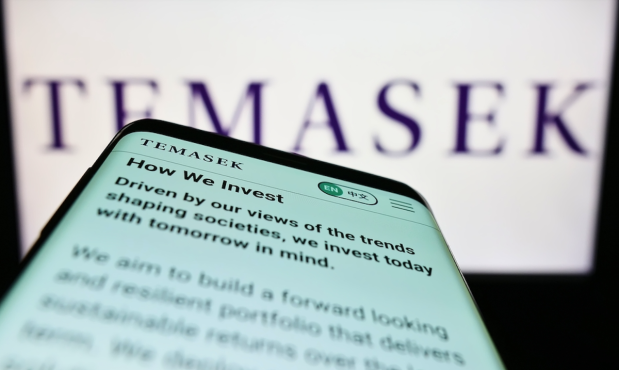 Temasek Slashes Investments in Early-Stage Companies by 88%