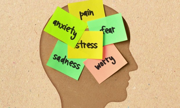 Financial Anxiety Spurs Demand for Consumer Budgeting Apps