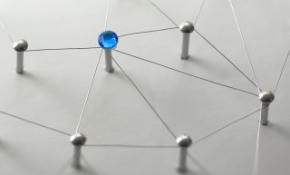Watchdogs Build Their Own Agents to Keep Up