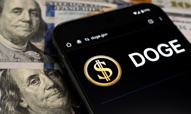 DOGE Develops Custom AI Model for Regulatory ‘Delete’ List