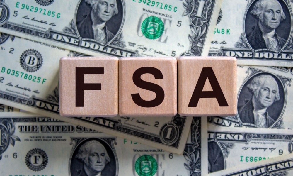 FSA, reimbursements, WEX, AI