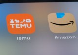 Temu Hits Roadblock in Efforts to Compete With Amazon