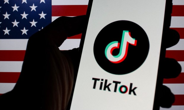 Blackstone Backs Off From TikTok Ownership Plans