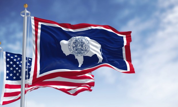 Wyoming Tests Use of State-Issued Stablecoin for Contractor Payments