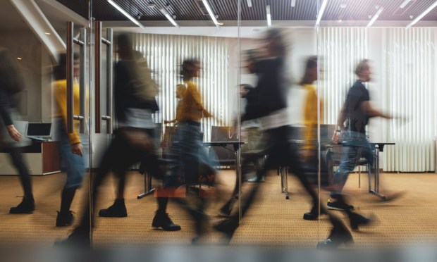 Employment Growth Exceeded Expectations in June, Led by State Government