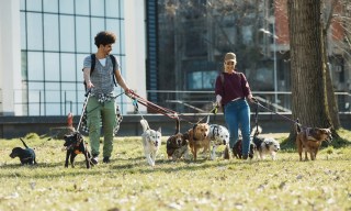 Inflation and Rising Debt Force Consumers to Double Down on Side Hustles