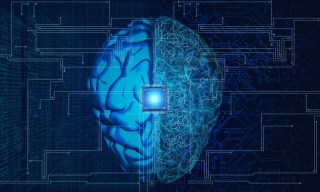 OpenAI Considering Investment in Venture to Connect Brains and Computers