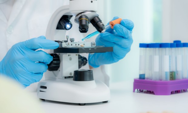 New Tax Deduction Encourages R&D Hiring in US