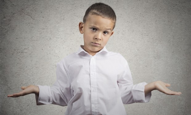 Main Street Shrugs at Tariffs, Banks on Growth