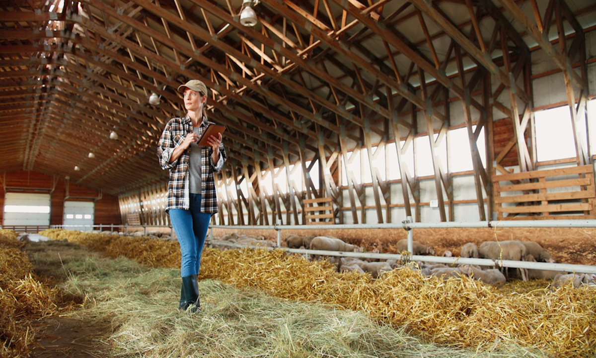 90% of Rural Small Businesses Confident in Future