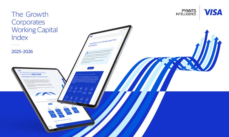 Visa Growth Corporates Working Capital index