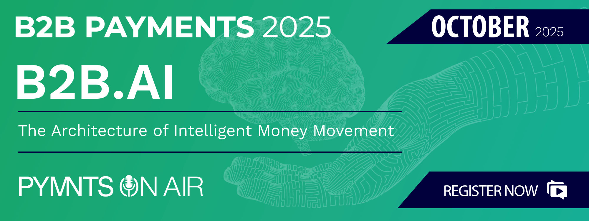 B2B Payments 2025