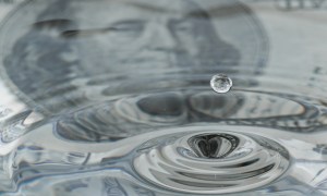 Visa: CFOs, Treasurers Want Liquidity Solutions Delivered Digitally