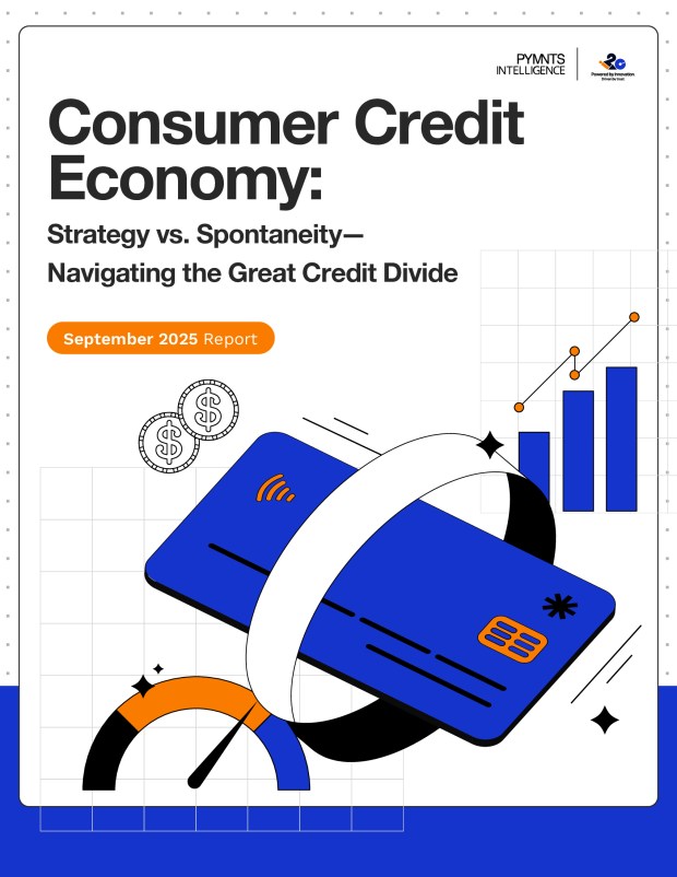Consumer Credit Economy: Strategy vs. Spontaneity—Navigating the Great Credit Divide