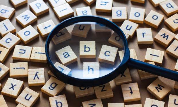 When Machines Learn Our Language, What Do They Really Understand?