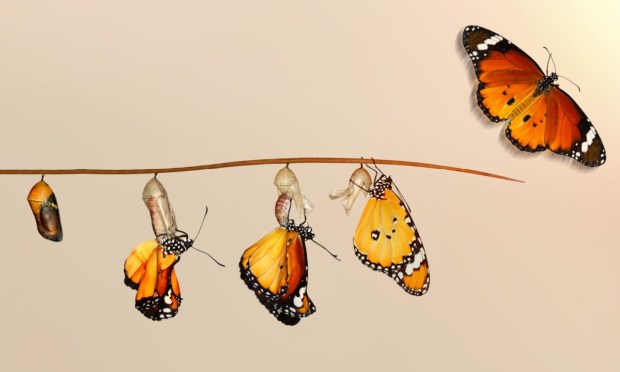 Why AI’s Transformation of Finance Function Is Incremental but Irreversible