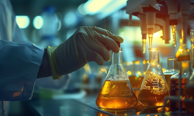 PYMNTS Turns Research Into a Real-Time Data Lab for Decision Makers