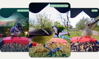 The Weekender: Smart Home Edition, Where Even the Bird Feeder Slides Into Your DMs