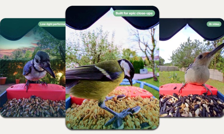 smart home bird feeders