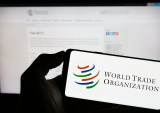WTO Says AI-Related Goods Drove 43% of Global Trade Growth in First Half
