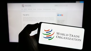 WTO Says AI-Related Goods Drove 43% of Global Trade Growth in First Half