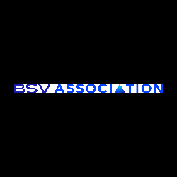 BSV ASSOCIATION (BSVA) ANNOUNCES PUBLIC RELEASE OF TERANODE SOFTWARE