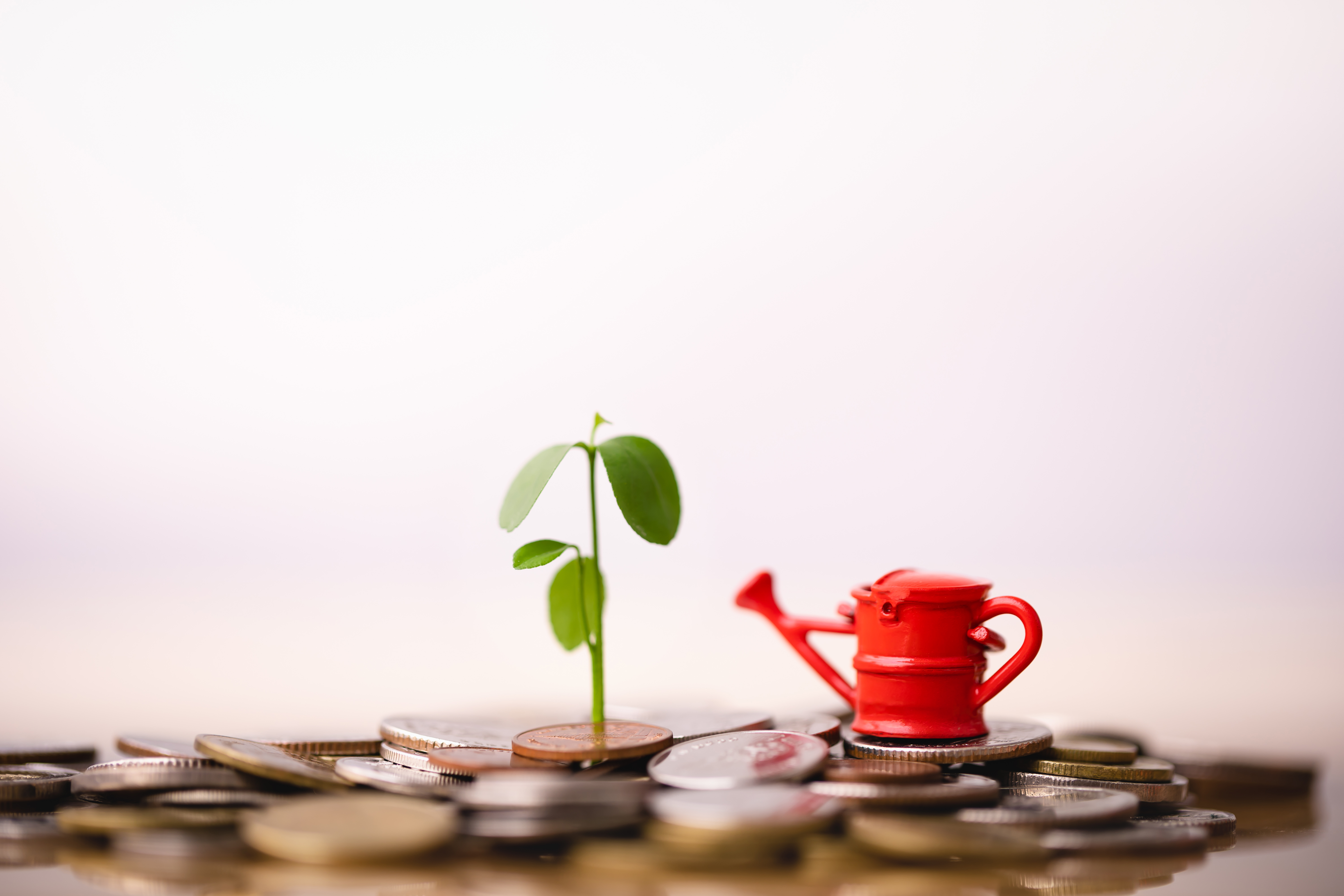 Revolut Backer Shifts Focus to Existing Deals