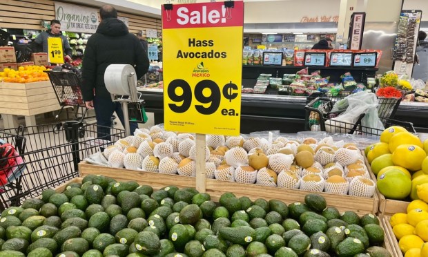 Philadephia Fed Chief Says Tariff-Induced Price Increases ‘Somewhat Smaller Than Anticipated’