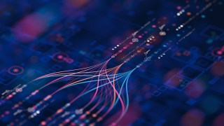 Researchers Train AI Agents to Share Complex Tasks