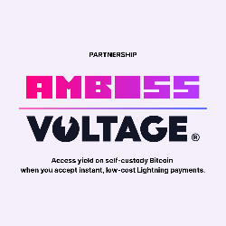 Amboss and Voltage Partner to Bring Yield to Bitcoin and Stablecoin Payments