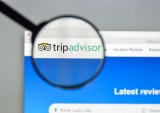 Tripadvisor to Merge 2 Businesses as Activist Investors Urge Sale