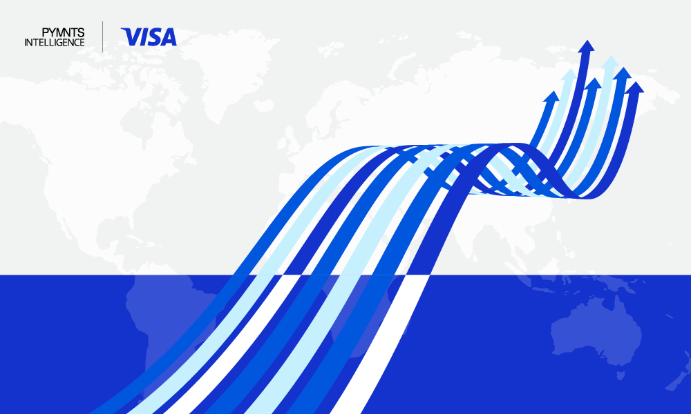 Visa factsheet working capital